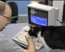 🐱 emoji Vintage Tech Memes Telegram sticker 5 of 76