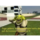 🙆 emoji Shrek do Zap by @Faberoso Telegram sticker 17 of 50