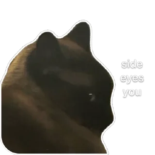 Hiro Silly Cat sticker 3