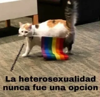🏳️‍🌈 emoji Stickers de Drew Telegram sticker 20 of 87