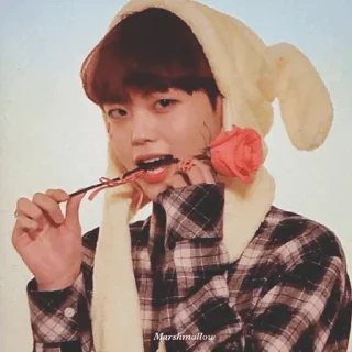 🌹 emoji Stickers de Drew Telegram sticker 13 of 87