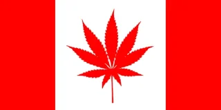 🍁 emoji 防区傻事 Telegram sticker 2 of 32