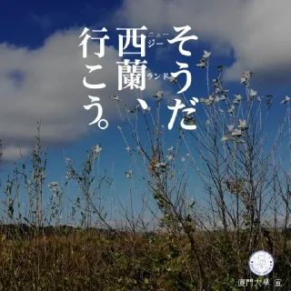 🇳🇿 emoji 防区傻事 Telegram sticker 6 of 32