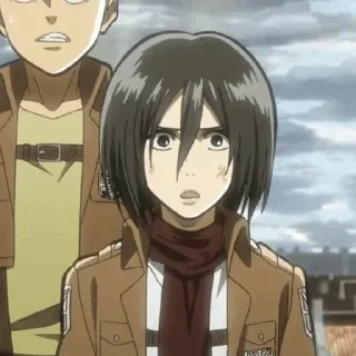 Sticker from Mikasa.