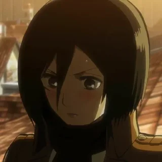 Sticker from Mikasa.