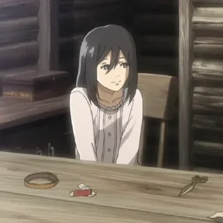 Sticker from Mikasa.