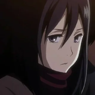 Sticker from Mikasa.