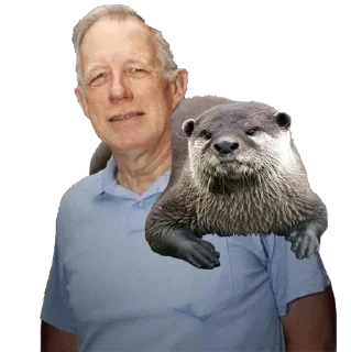 Sticker from The Otter Diaries