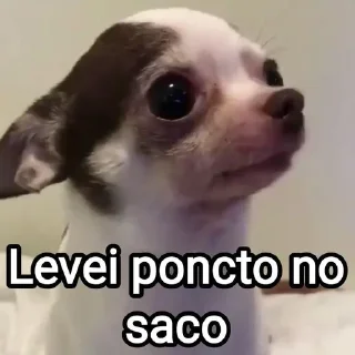 🪡 emoji Mensagens Fofas 13 - FAZ O L! Telegram sticker 23 of 120