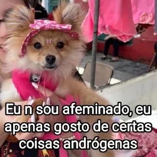🧔‍♀ emoji Mensagens Fofas 13 - FAZ O L! Telegram sticker 5 of 120