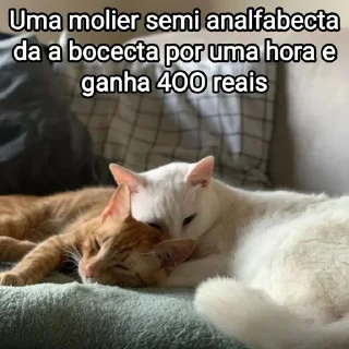 💵 emoji Mensagens Fofas 13 - FAZ O L! Telegram sticker 6 of 120