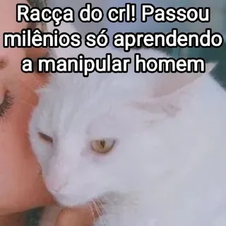 🧏‍♀ emoji Mensagens Fofas 13 - FAZ O L! Telegram sticker 13 of 120