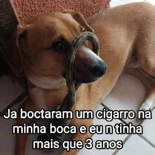 🚬 emoji Mensagens Fofas 13 - FAZ O L! Telegram sticker 16 of 120