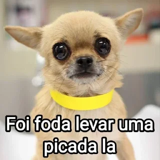 🥴 emoji Mensagens Fofas 13 - FAZ O L! Telegram sticker 24 of 120