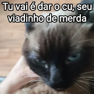 😾 emoji Mensagens Fofas 13 - FAZ O L! Telegram sticker 15 of 120