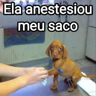 💉 emoji Mensagens Fofas 13 - FAZ O L! Telegram sticker 22 of 120