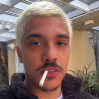 🚬 emoji CAMPEÃO BBB24 Telegram sticker 7 of 8