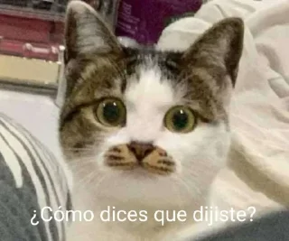 😟 emoji De la gata stalker Telegram sticker 18 of 56