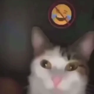 👽 emoji marian Video Steal Pack 1 Telegram sticker 10 of 27