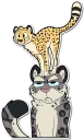 Sticker from Snow Rippard