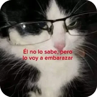 Sticker from Mad🦋