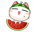 🍉 emoji Natsu's Gogil Meow - @Ratikel Telegram sticker 12 of 120