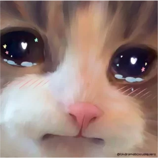 🌟 emoji Cats&Animals Telegram sticker 16 of 80
