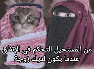 Sticker from Mensagens Fofas X
