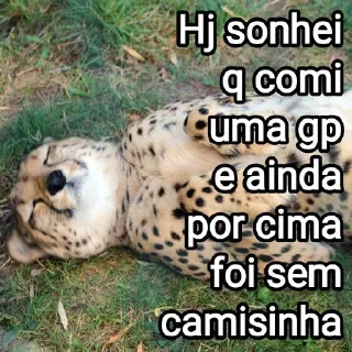 Sticker from Mensagens Fofas 6