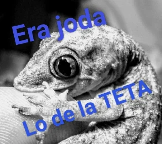 Sticker from Sal amandra