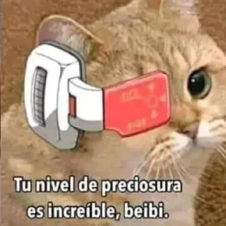 😻 emoji Odio mi vida Telegram sticker 14 of 71
