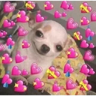 😍 emoji Odio mi vida Telegram sticker 10 of 71