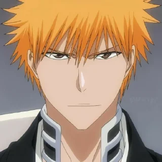 Sticker from Kurosaki Ichigo[@seupaiconfia]