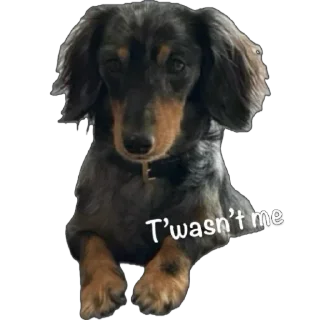 Sticker from Fluffy