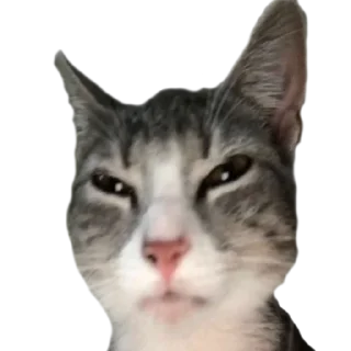 😒 emoji I'm İn Your Walls...... Again. Telegram sticker 18 of 113