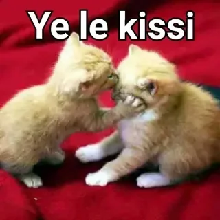 😘 emoji @swage_girl's HellBot Vol.1 Telegram sticker 4 of 120
