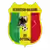 🇲🇱 emoji Africa Cup of Nations || By || @Emoji_lite Telegram sticker 20 of 168