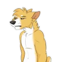 Sticker from Duke Corgi