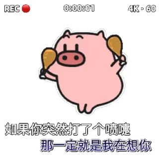 😊 emoji 乖巧的菜猪3 Telegram sticker 14 of 60