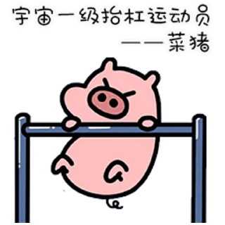 😊 emoji 乖巧的菜猪 Telegram sticker 24 of 50