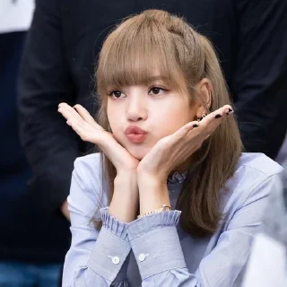 🐬 emoji 🐬𝐀𝐧𝐧𝐚̈。𝐋𝐢𝐬𝐚 ::。@VAQUEENA Telegram sticker 20 of 69