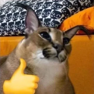 🐱 emoji Floppa Telegram sticker 5 of 20