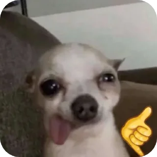 🙂 emoji Dogs Telegram sticker 6 of 7