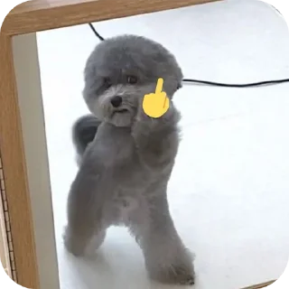 🖕 emoji Dogs Telegram sticker 5 of 7