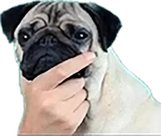 🤔 emoji big Telegram sticker 21 of 24