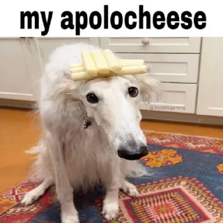 🧀 emoji big Telegram sticker 16 of 24