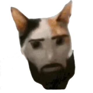 😿 emoji MEWING Telegram sticker 8 of 39