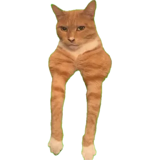 🙀 emoji MEWING Telegram sticker 7 of 39
