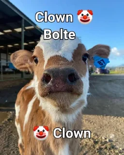 🐮 emoji @NewsActor Kang Pack 1 Telegram sticker 8 of 32