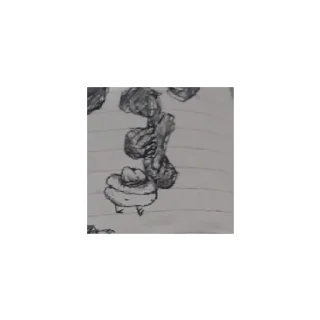 Sticker from Kiwi